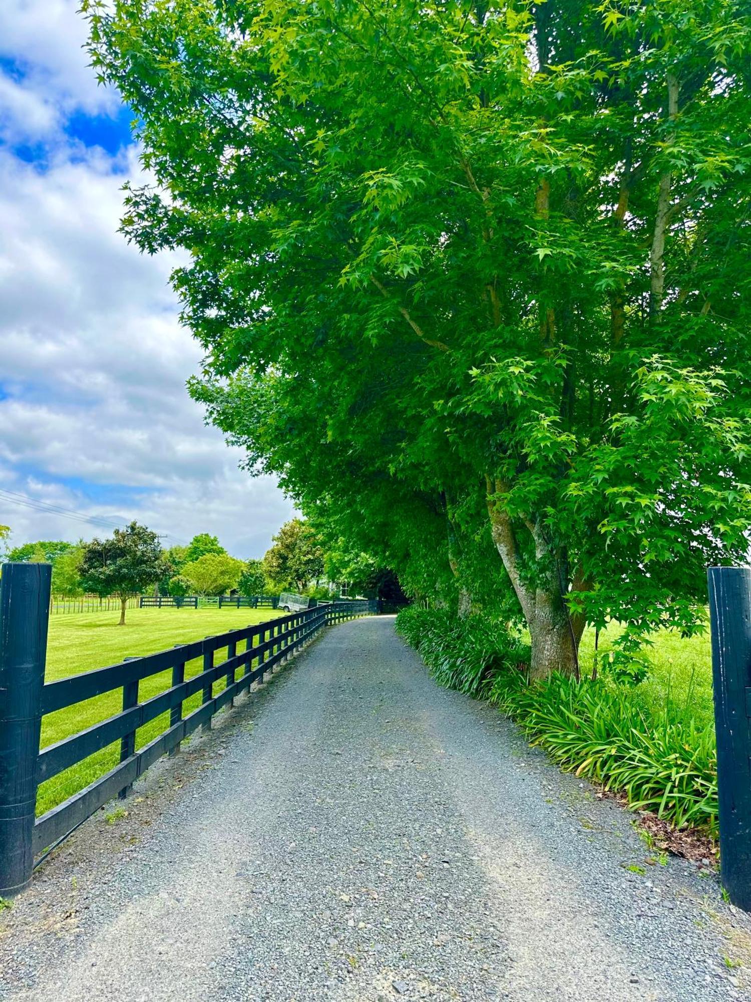 Matamata Country B&B Экстерьер фото