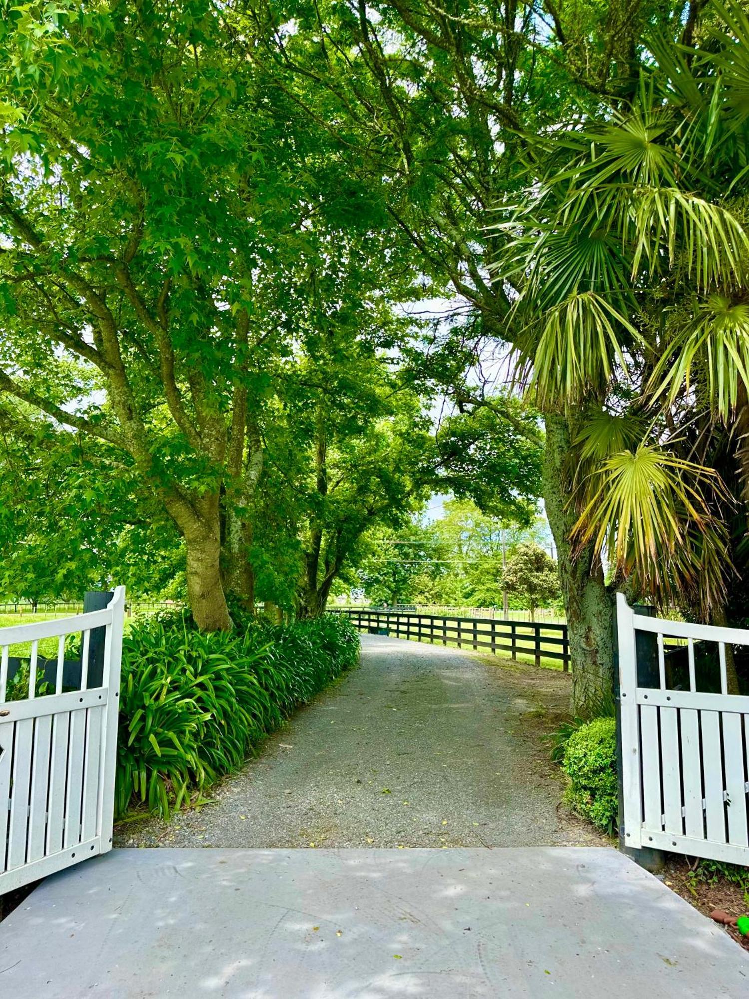 Matamata Country B&B Экстерьер фото
